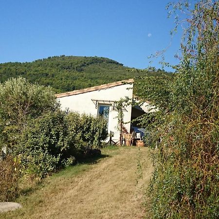 Ferienwohnung Maison De Campagne L'Etang Seillans Exterior foto